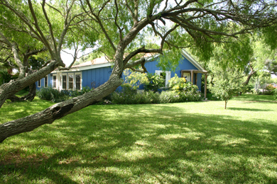 Great Blue Heron House